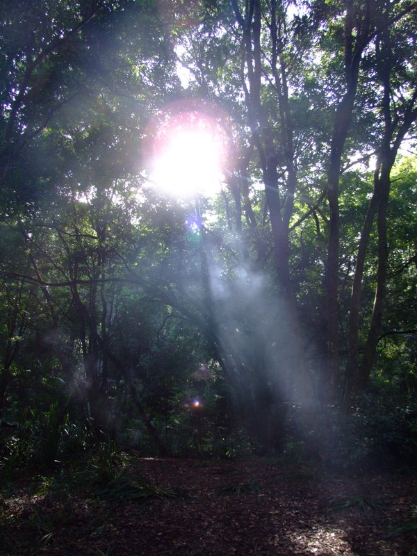here comes the sun ...